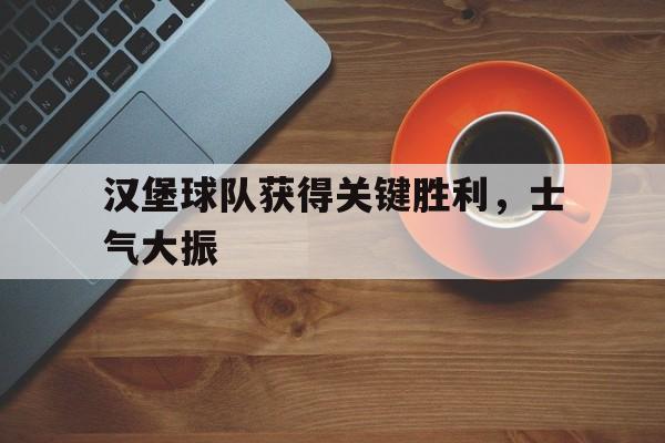 官方登录器-汉堡球员